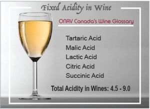Fixed Acidity in wine – Wine Taster ITALIAN ORGANIZATION